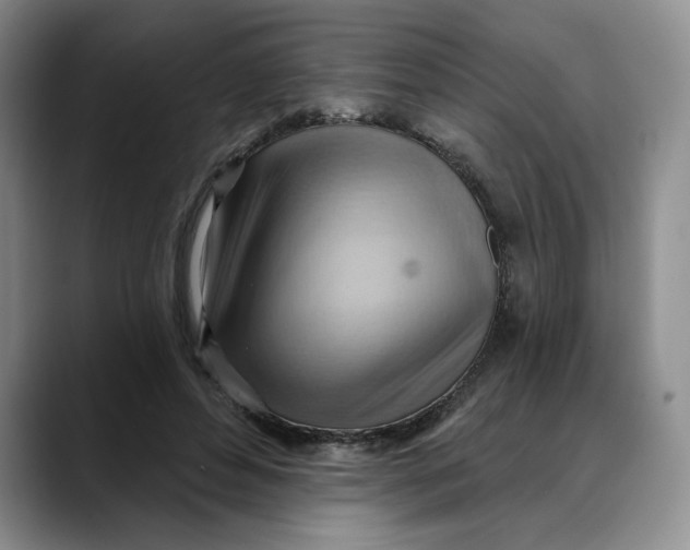 X0000088490496200706121551