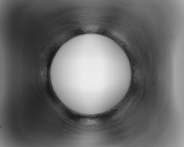 X0000088490498200706121551