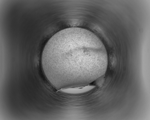 X0000088490499200706121551
