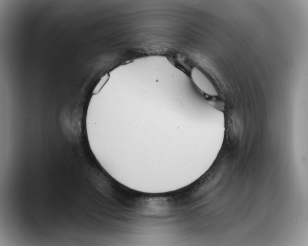 X0000088490501200706121551