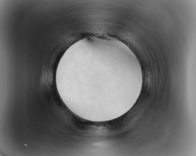 X0000088490502200706121551