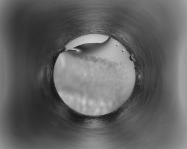 X0000088490503200706121551