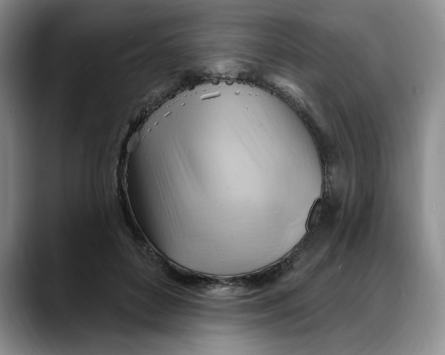 X0000088490504200706121551