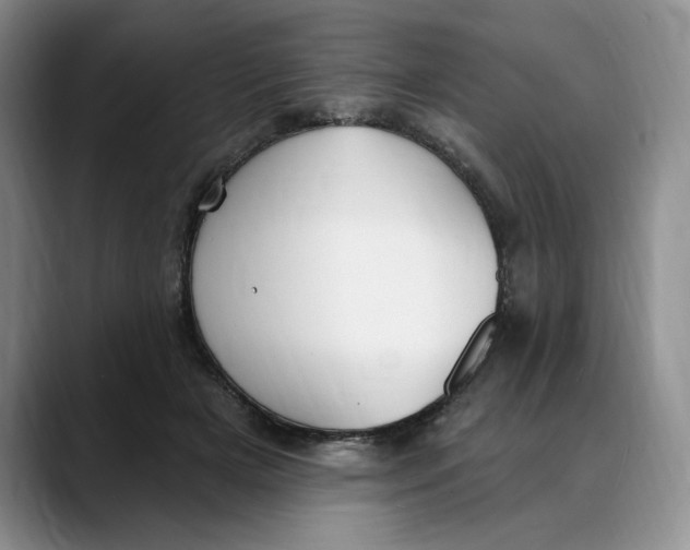 X0000088490505200706121551
