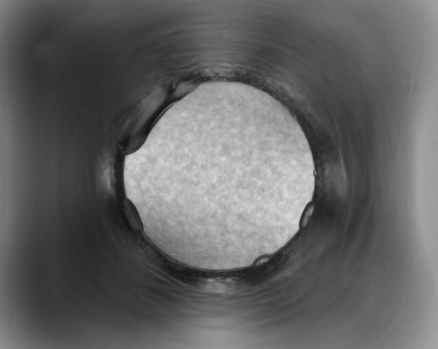 X0000088490508200706121551