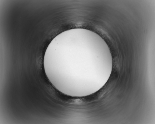 X0000088490509200706121551