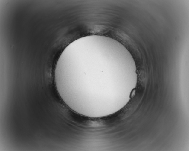 X0000088490510200706121551