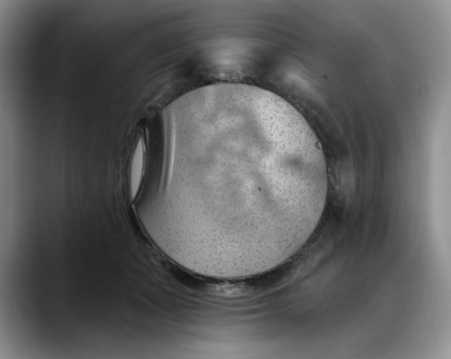 X0000088490511200706121551