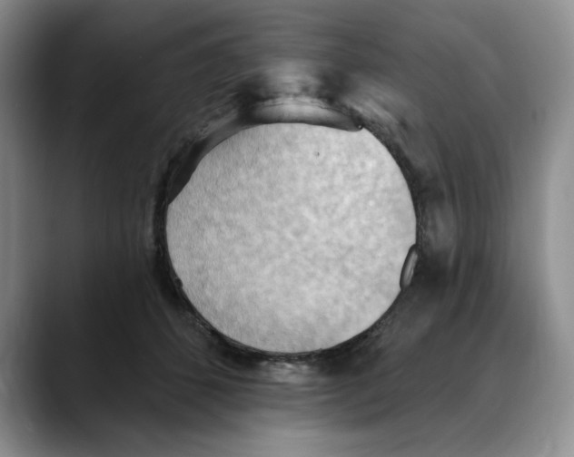 X0000088490512200706121551
