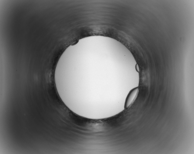 X0000088490514200706121551
