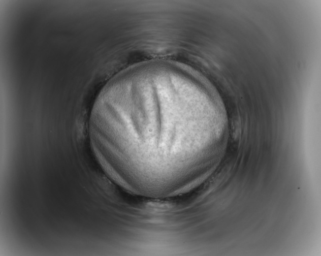 X0000088490515200706121551