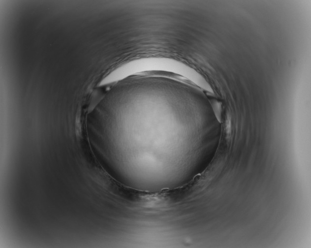 X0000088490516200706121551