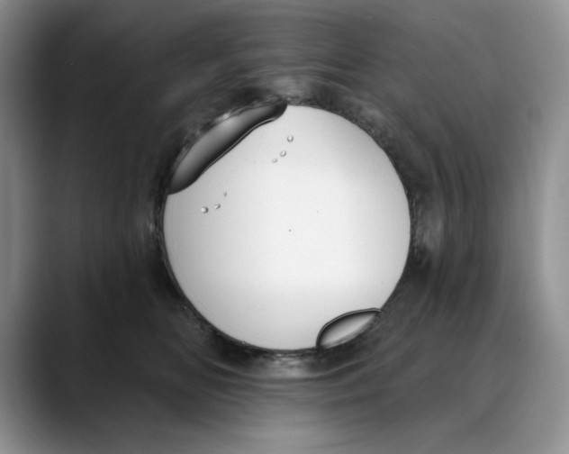 X0000088490518200706121551