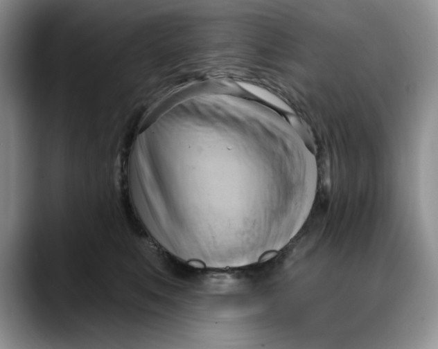 X0000088490519200706121551