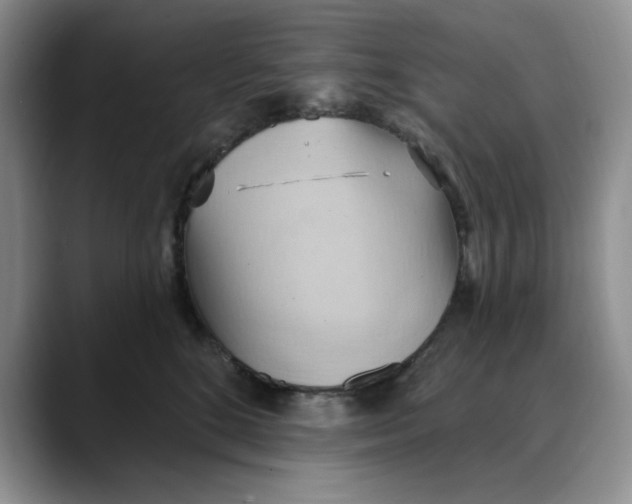 X0000088490520200706121551