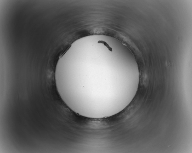 X0000088490521200706121551