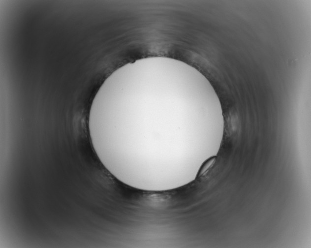 X0000088490522200706121551