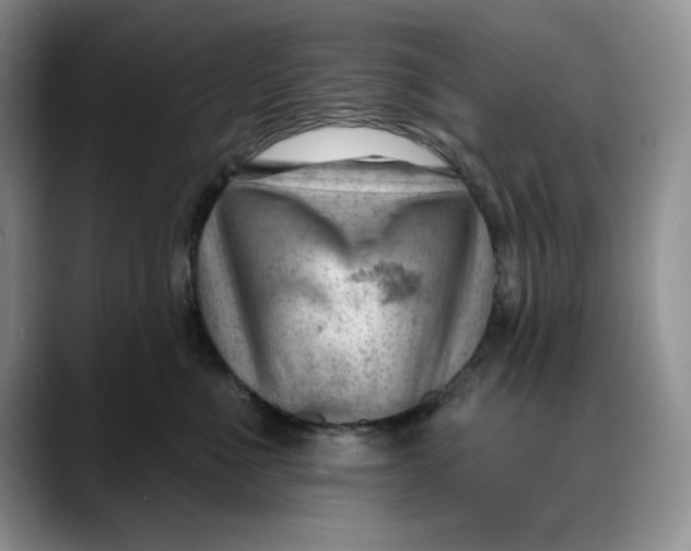X0000088490523200706121551