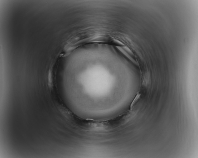 X0000088490524200706121551