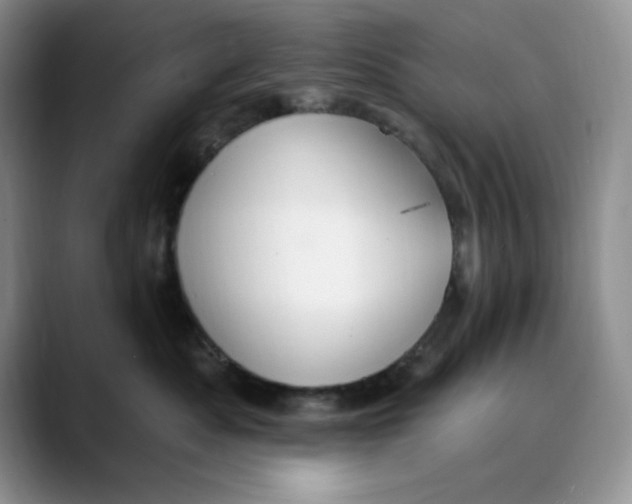 X0000088490525200706121551