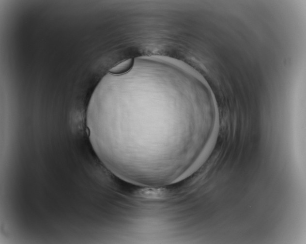 X0000088490526200706121551
