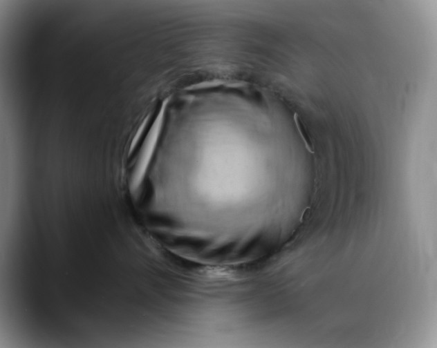 X0000088490528200706121551