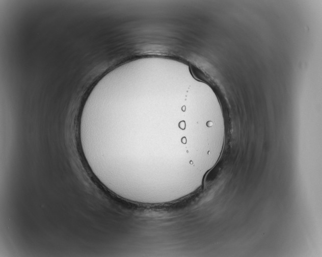 X0000088490529200706121550