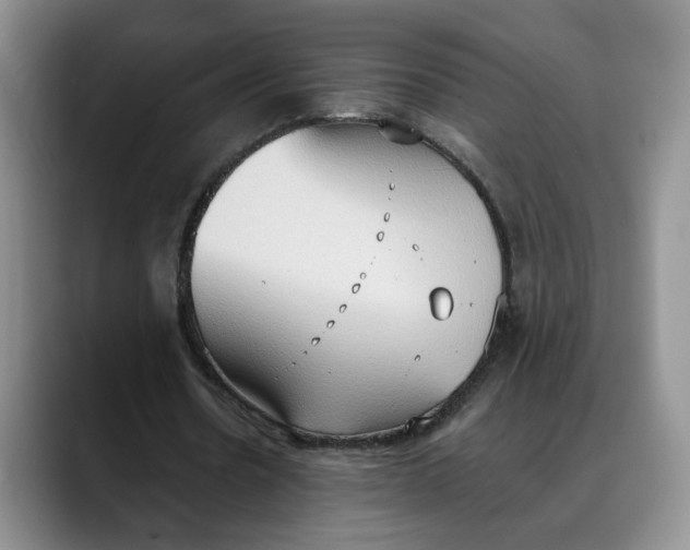 X0000088490530200706121550