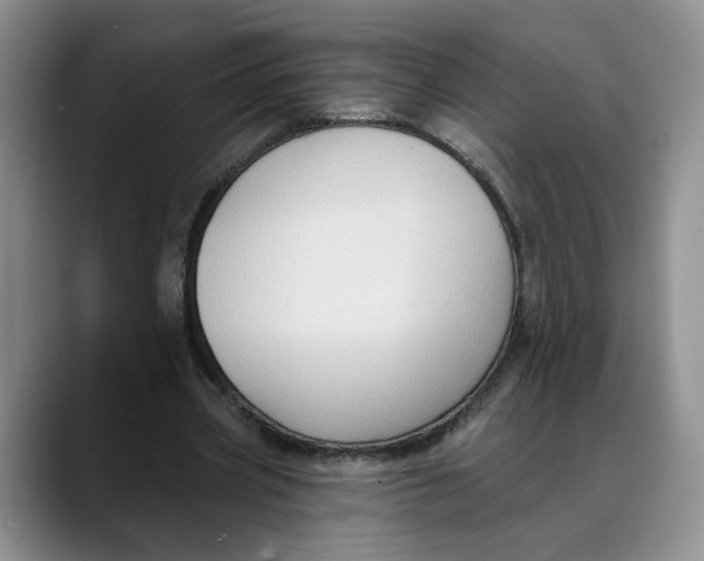 X0000088490533200706121551