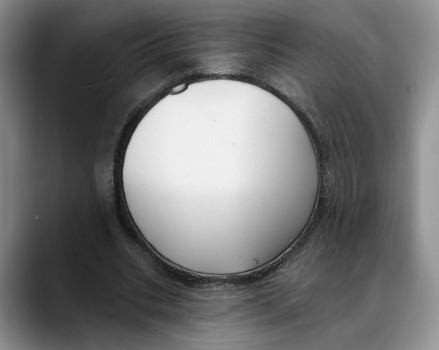 X0000088490535200706121551
