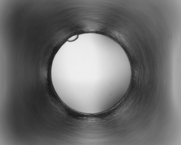 X0000088490539200706121551