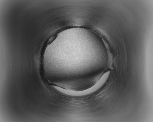 X0000088490540200706121551