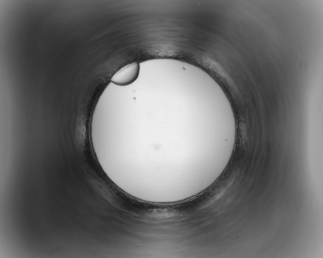 X0000088490541200706121551