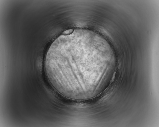 X0000088490542200706121551
