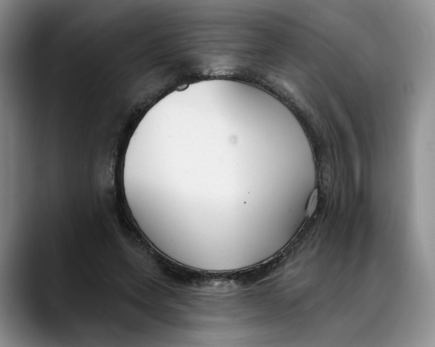 X0000088490543200706121551