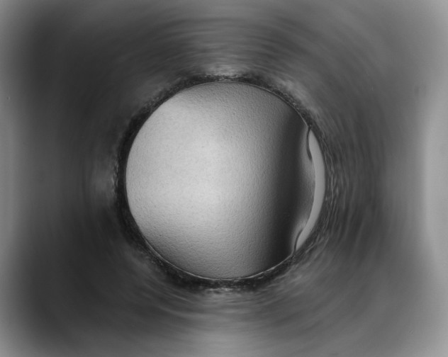 X0000088490544200706121551