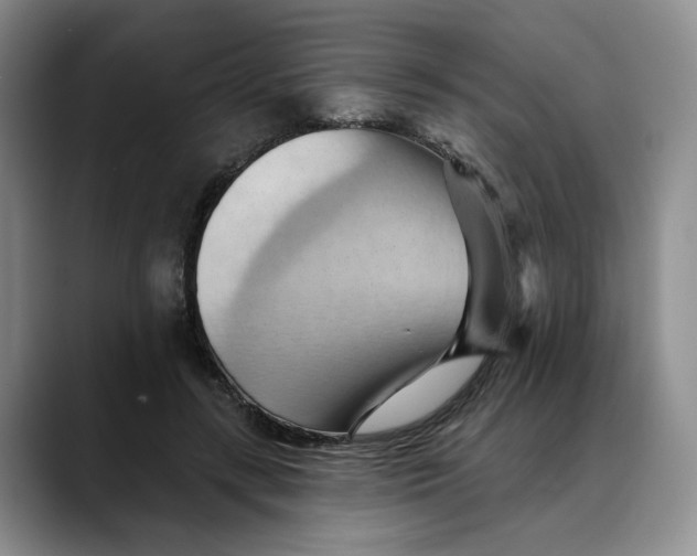 X0000088490547200706121551