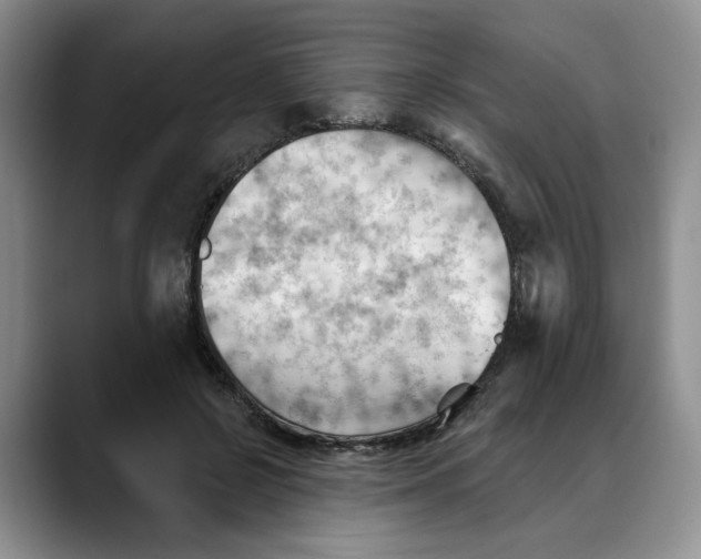 X0000088490550200706121551
