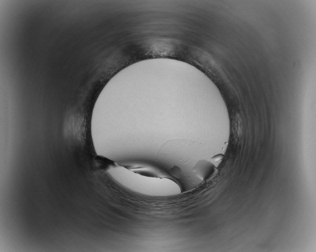 X0000088490551200706121551