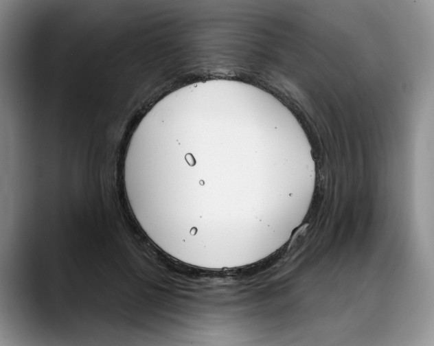 X0000088490552200706121551
