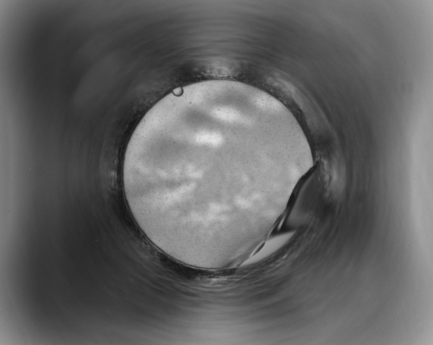 X0000088490553200706121551
