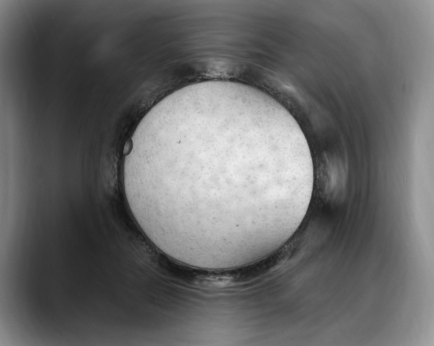 X0000088490554200706121551