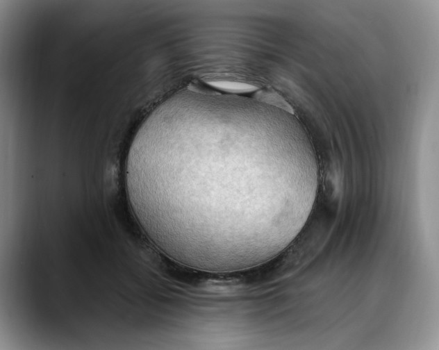 X0000088490556200706121551