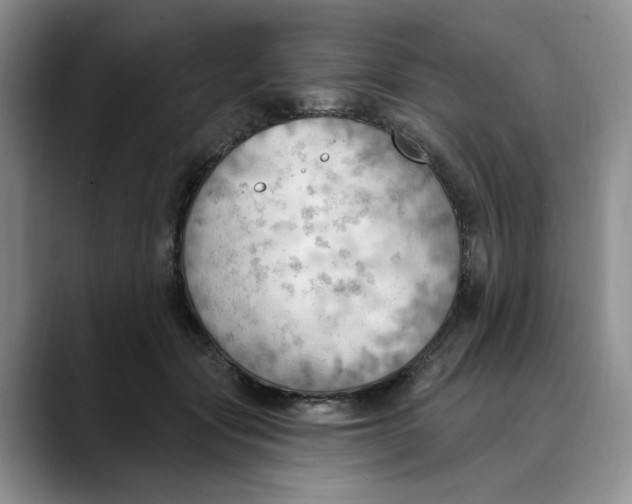 X0000088490557200706121551