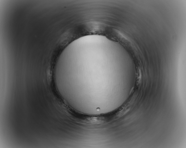 X0000088490558200706121551