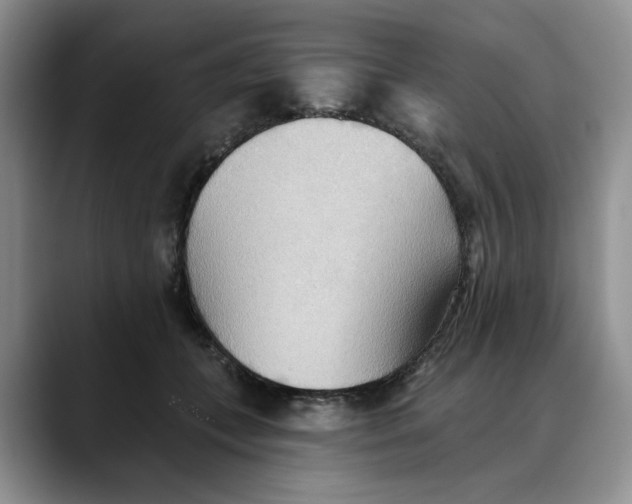 X0000088490559200706121551