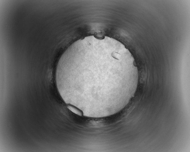 X0000088490560200706121551