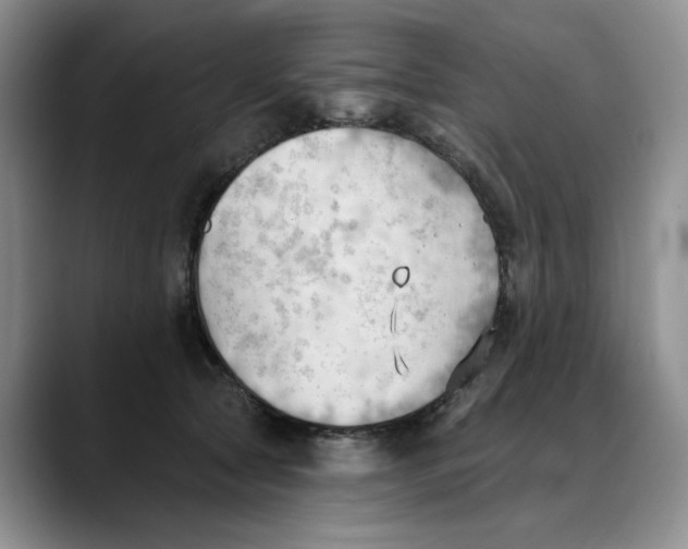 X0000088490561200706121551