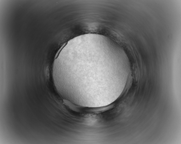 X0000088490562200706121551