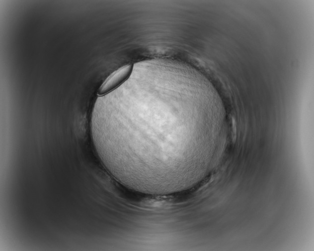 X0000088490563200706121551